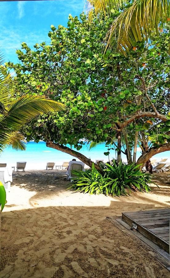 فندق نيغريلفي  Idle Awhile Beach المظهر الخارجي الصورة